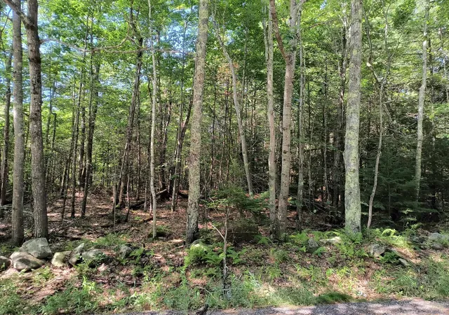5th image of Map 7 Lot 335 Jaffrey Rd, Marlborough, NH 03455 | MLS# 5102902