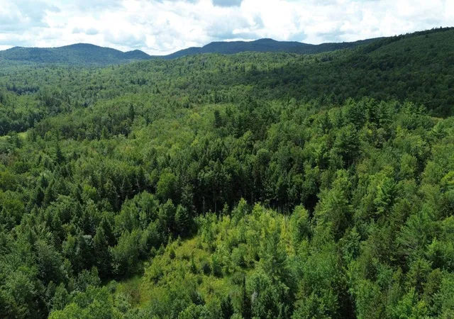 4th image of 105 Wendy Rd, Stoddard, NH 03464 | MLS# 5102931