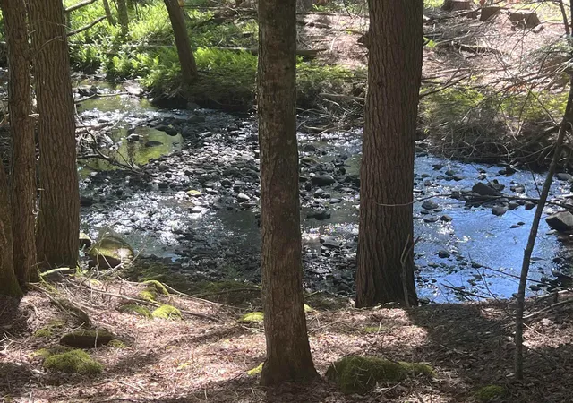 3rd image of Lower Ridge Rd, Loudon, NH 03307 | MLS# 5102970