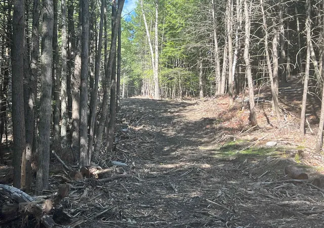 4th image of Lower Ridge Rd, Loudon, NH 03307 | MLS# 5102970