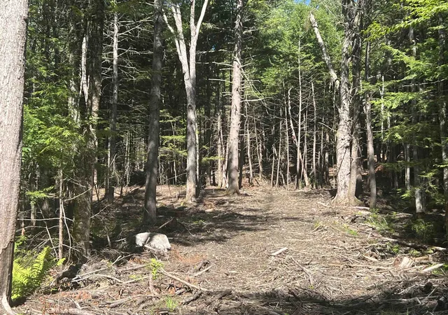 5th image of Lower Ridge Rd, Loudon, NH 03307 | MLS# 5102970
