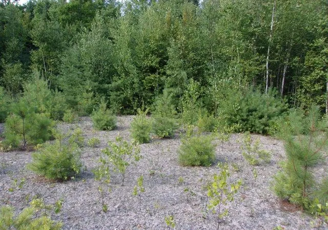 Photo 1 of Sale Pending at Fenn Way Cir, Bath, NH 03740 | MLS# 5102971 | Listing updated on 2026-10-06