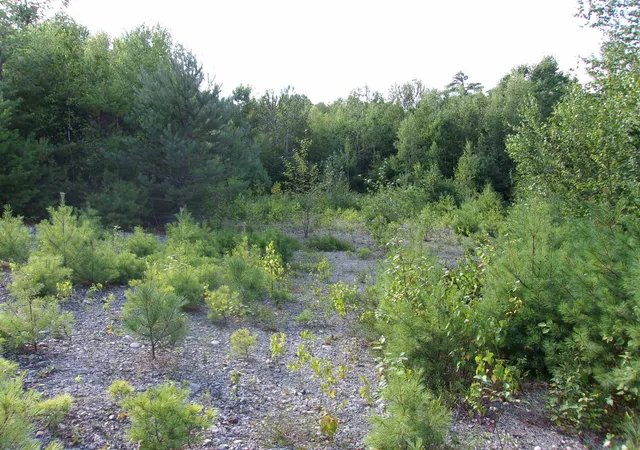 Photo 2 of Sale Pending at Fenn Way Cir, Bath, NH 03740 | MLS# 5102971 | Listing updated on 2026-10-06