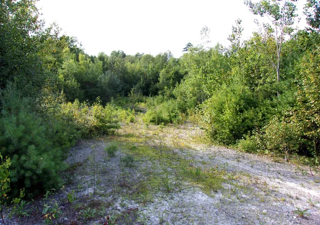 Photo 4 of Sale Pending at Fenn Way Cir, Bath, NH 03740 | MLS# 5102971 | Listing updated on 2026-10-06