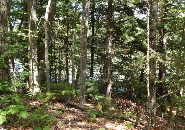 3rd image of Pine Cliff Rd, Alstead, NH 03602 | MLS# 5102993
