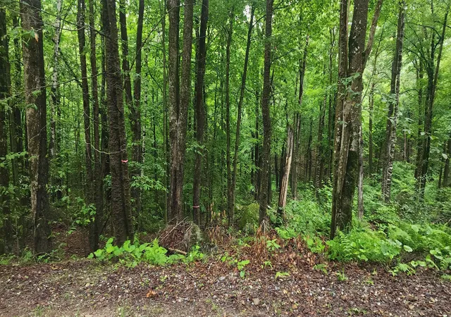 1st image of 142 Fox Hill Rd, Stoddard, NH 03464 | MLS# 5103009