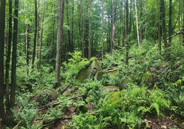 3rd image of 142 Fox Hill Rd, Stoddard, NH 03464 | MLS# 5103009