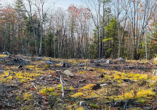 1st image of Lot 70 Homestead Ln, Barrington, NH 03825 | MLS# 5103029