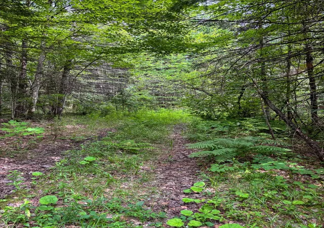 Photo 2 of Land for sale at 0000 Center Pond Rd, West Burke, VT 05871 | MLS# 5103044 | Listing updated on 2026-08-03