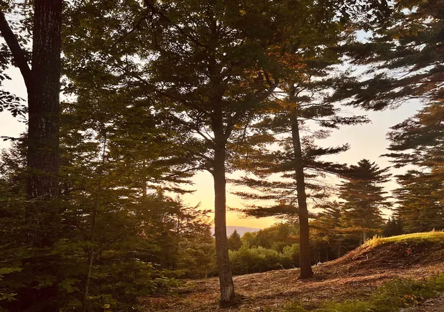 Photo 2 of Single family home for sale at 437 Avery Hill Rd, Alton Bay, NH 03810 | MLS# 5103112 | Listing updated on 2026-09-18