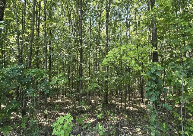 1st image of 406 19 Guinea Ridge Rd, Gilmanton, NH 03237 | MLS# 5103163