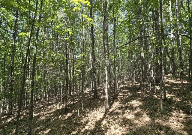 13th image of 406 19 Guinea Ridge Rd, Gilmanton, NH 03237 | MLS# 5103163