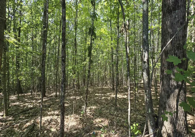 2nd image of 406 19 Guinea Ridge Rd, Gilmanton, NH 03237 | MLS# 5103163