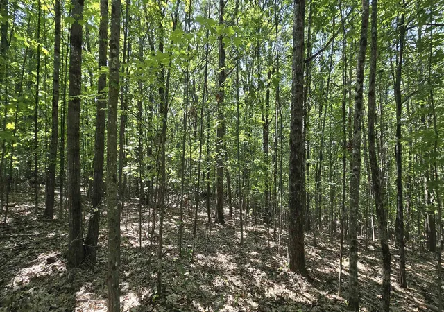 3rd image of 406-19 Guinea Ridge Rd, Gilmanton, NH 03237 | MLS# 5103163