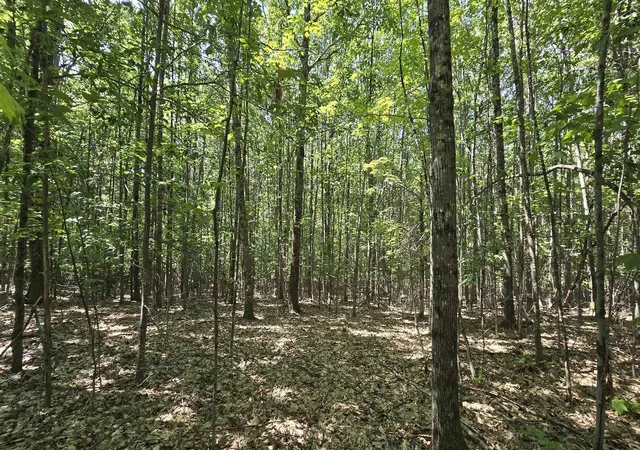 4th image of 406-19 Guinea Ridge Rd, Gilmanton, NH 03237 | MLS# 5103163