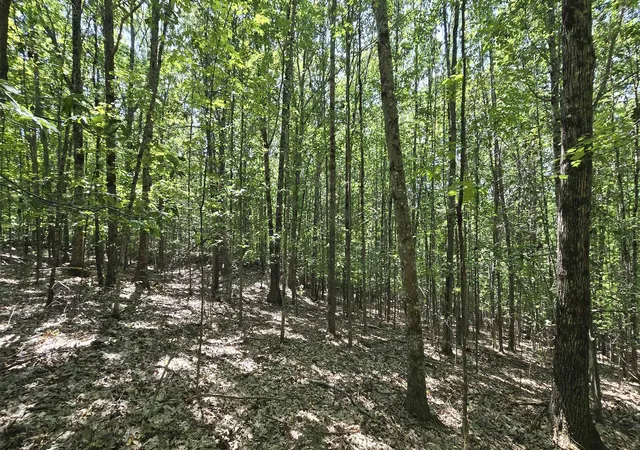 5th image of 406-19 Guinea Ridge Rd, Gilmanton, NH 03237 | MLS# 5103163