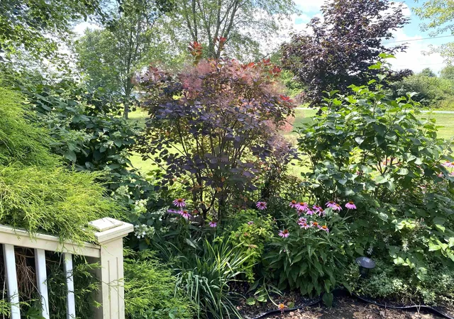 Photo 3 of Single family home for sale at 1820 North St, New Haven, VT 05472 | MLS# 5103165 | Listing updated on 2026-09-01