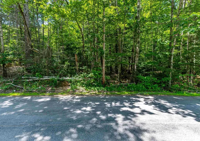 8th image of 00 Dundee Rd, Bartlett, NH 03812 | MLS# 5103250