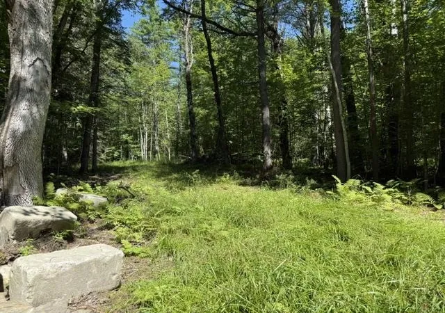 Photo 1 of Land for sale at 362 Mero Rd, Vershire, VT 05079 | MLS# 5103301 | Listing updated on 2026-08-31