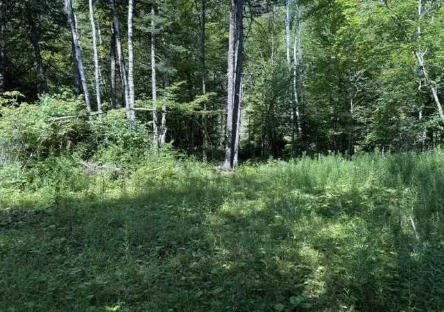 Photo 2 of Land for sale at 362 Mero Rd, Vershire, VT 05079 | MLS# 5103301 | Listing updated on 2026-08-31