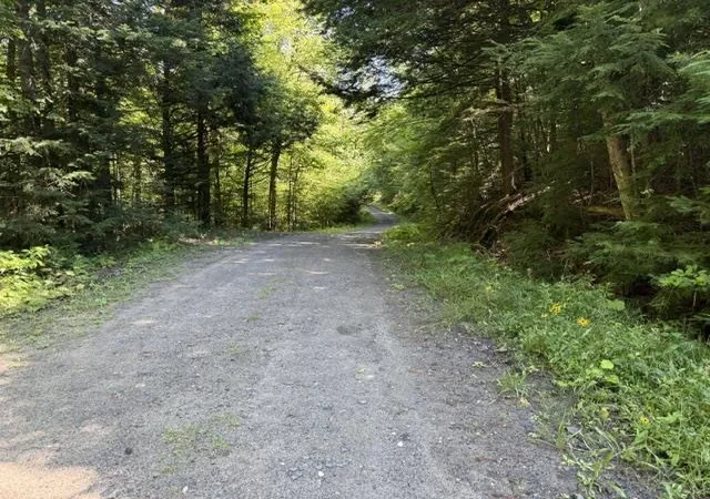 Photo 3 of Land for sale at 362 Mero Rd, Vershire, VT 05079 | MLS# 5103301 | Listing updated on 2026-08-31