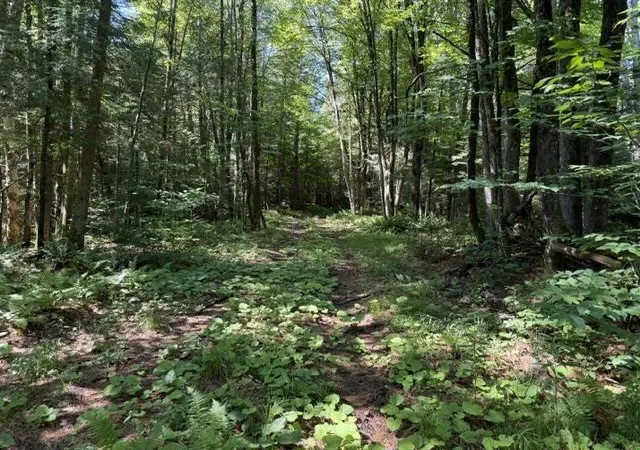 Photo 4 of Land for sale at 362 Mero Rd, Vershire, VT 05079 | MLS# 5103301 | Listing updated on 2026-08-31