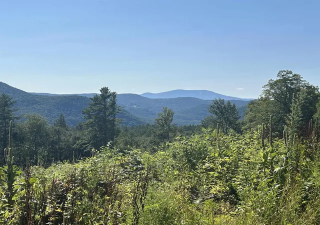 Photo 2 of Land for sale at 8 Pine Acers Ln, Townshend, VT 05353 | MLS# 5103375 | Listing updated on 2026-08-05