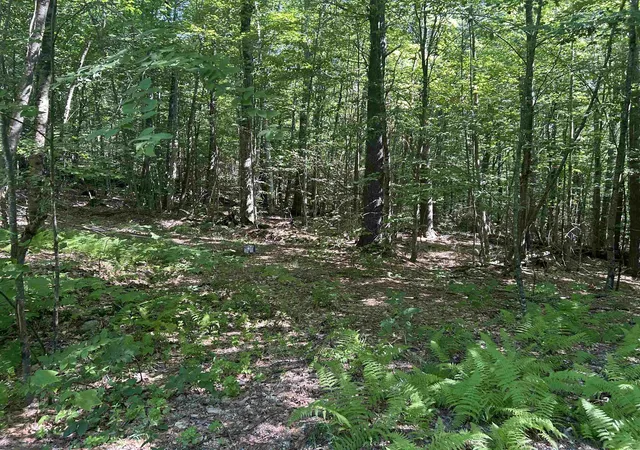 Photo 3 of Land for sale at 8 Pine Acers Ln, Townshend, VT 05353 | MLS# 5103375 | Listing updated on 2026-08-05