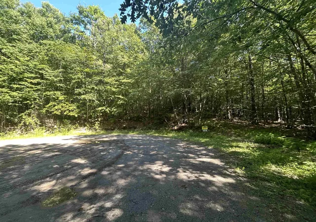 Photo 4 of Land for sale at 8 Pine Acers Ln, Townshend, VT 05353 | MLS# 5103375 | Listing updated on 2026-08-05
