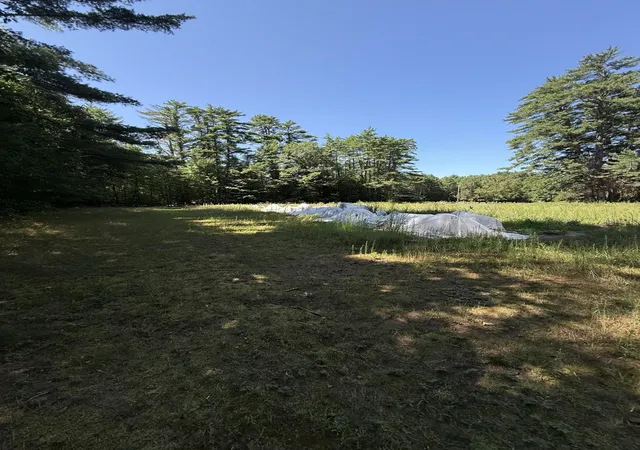 Photo 2 of Land for sale at 00 175 Rte, Holderness, NH 03245 | MLS# 5103379 | Listing updated on 2026-10-01
