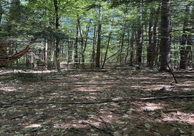 1st image of 000 Nh 175 Rte, Holderness, NH 03245 | MLS# 5103411