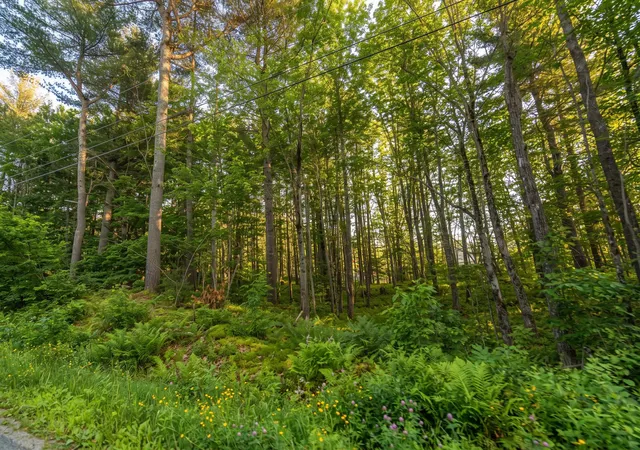 2nd image of 76 Franconia Wy, New Durham, NH 03855 | MLS# 5103445