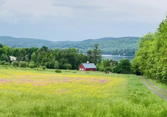 Photo 2 of Land for sale at 699 Lake Shore Rd, Greensboro, VT 05841 | MLS# 5103449 | Listing updated on 2026-09-03