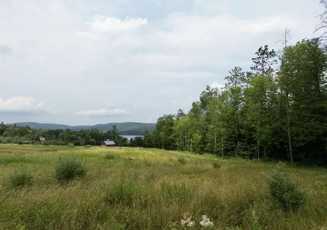 Photo 3 of Land for sale at 699 Lake Shore Rd, Greensboro, VT 05841 | MLS# 5103449 | Listing updated on 2026-09-03