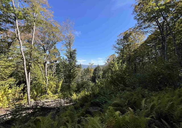 Photo 2 of Land for sale at Vt Route 100 South, Jamaica, VT 05343 | MLS# 5103450 | Listing updated on 2026-08-05