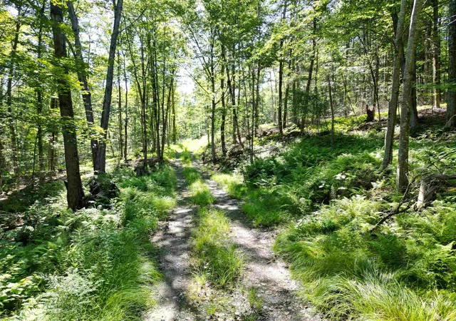 Photo 1 of Land for sale at 00 Dover Rd, Newfane, VT 05351 | MLS# 5103480 | Listing updated on 2026-08-17