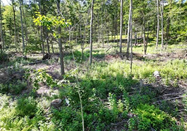 Photo 4 of Land for sale at 00 Dover Rd, Newfane, VT 05351 | MLS# 5103480 | Listing updated on 2026-08-17