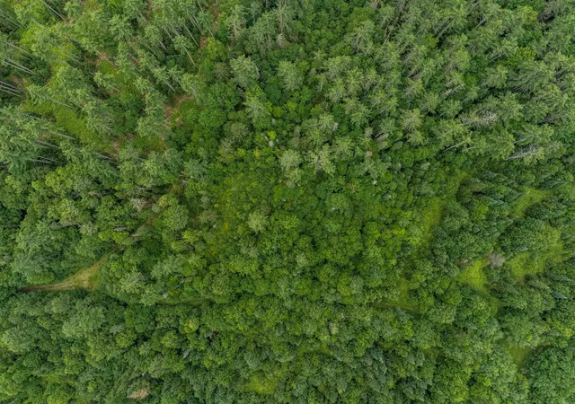5th image of 168 Old Walker Hill Rd, Littleton, NH 03561 | MLS# 5103636