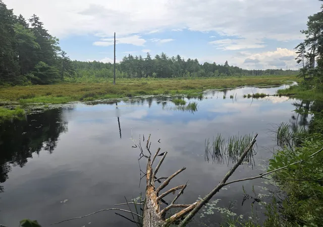 Photo 1 of Land for sale at Lot 14 & 141 Brownfield Rd, Center Conway, NH 03813 | MLS# 5103740 | Listing updated on 2026-08-06