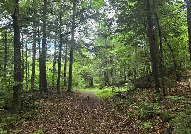 Photo 3 of Land for sale at Lot 14 & 141 Brownfield Rd, Center Conway, NH 03813 | MLS# 5103740 | Listing updated on 2026-08-06