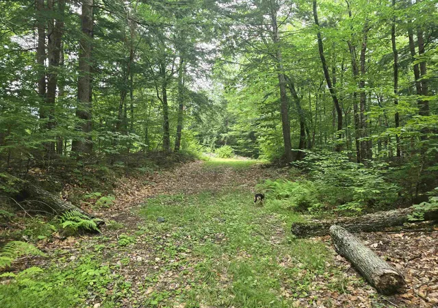 Photo 4 of Land for sale at Lot 14 & 141 Brownfield Rd, Center Conway, NH 03813 | MLS# 5103740 | Listing updated on 2026-10-01