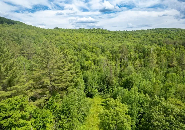 Photo 3 of Land for sale at 230 Taylor Valley Rd, Strafford, VT 05072 | MLS# 5103785 | Listing updated on 2026-08-06