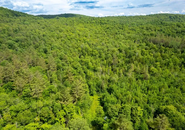 Photo 3 of Land for sale at 230 Taylor Valley Rd, Strafford, VT 05072 | MLS# 5103785 | Listing updated on 2026-08-06