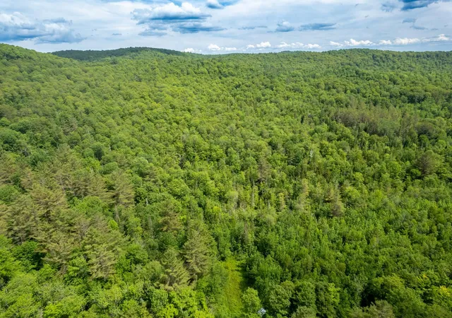 Photo 4 of Land for sale at 230 Taylor Valley Rd, Strafford, VT 05072 | MLS# 5103785 | Listing updated on 2026-08-06