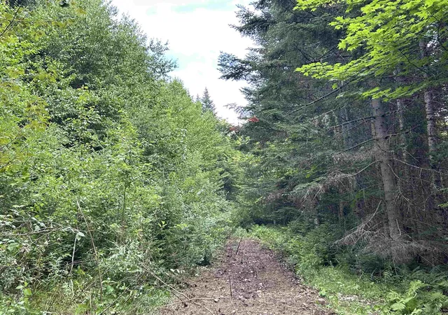 Photo 2 of Land for sale at Sugar Hill Rd, Colebrook, NH 03576 | MLS# 5103801 | Listing updated on 2026-08-06