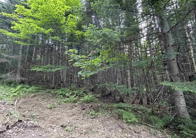 Photo 3 of Land for sale at Sugar Hill Rd, Colebrook, NH 03576 | MLS# 5103801 | Listing updated on 2026-08-06