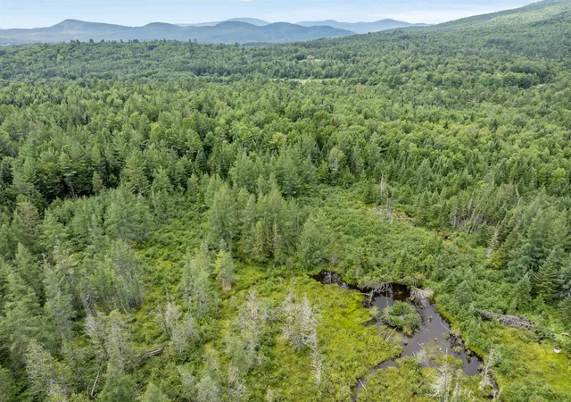 19th image of Lot 4 Bog Rd, North Stratford, NH 03590 | MLS# 5103823