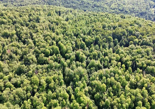 Photo 4 of Land for sale at 000 Old Man Mountain Rd, Saint Johnsbury, VT 05819 | MLS# 5103856 | Listing updated on 2026-08-07