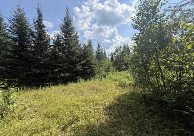 Photo 3 of Land for sale at Todd Hill Rd, Lemington, VT 05903 | MLS# 5103870 | Listing updated on 2026-09-09