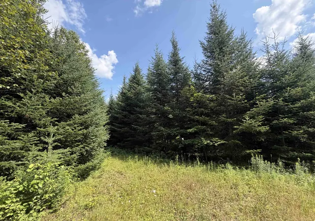 Photo 3 of Land for sale at - Todd Hill Rd, Lemington, VT 05903 | MLS# 5103870 | Listing updated on 2026-09-09